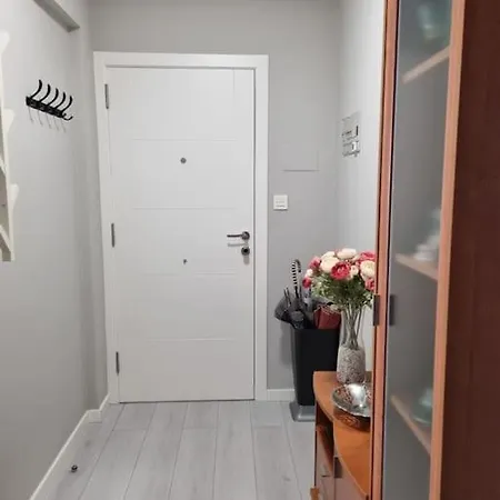 Vibescoruna - Angel 72 *